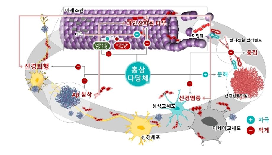 썸네일 사진